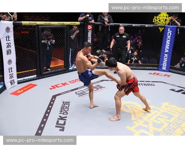 铁骨铮铮，以气御力：武僧与跆拳道的巅峰对决，谁才是真正的格斗王者？